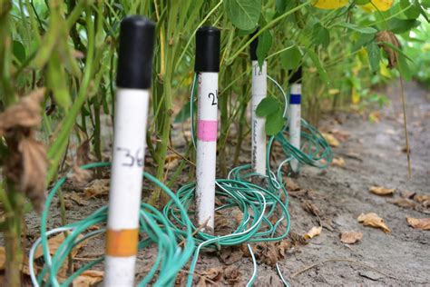 watermark soil moisture sensor|soil moisture sensor drip irrigation.